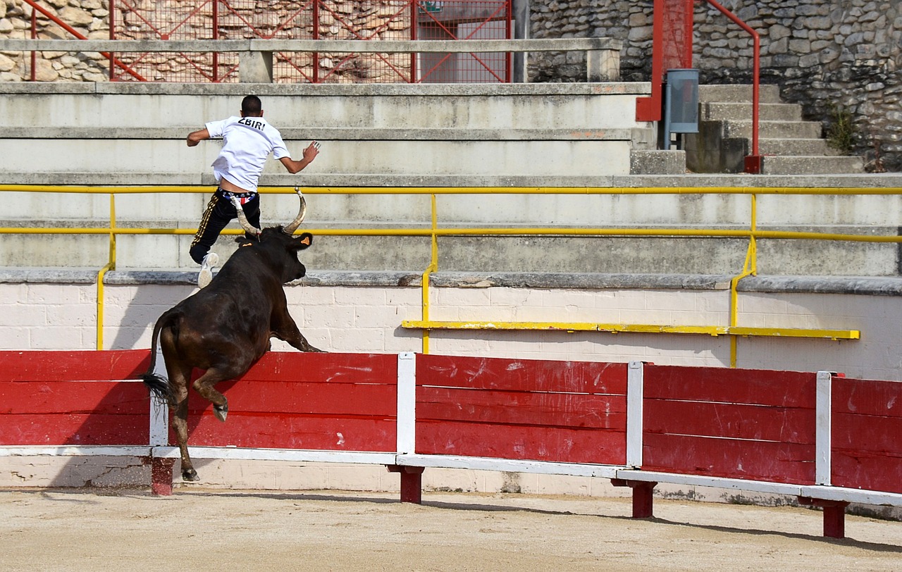 9歲邊衛烏