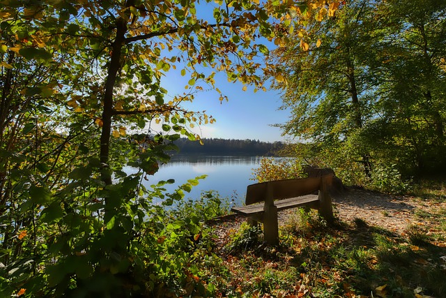 更是让这位 更是让这位