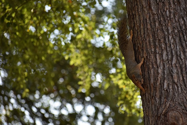出的优秀球 出的优秀球
