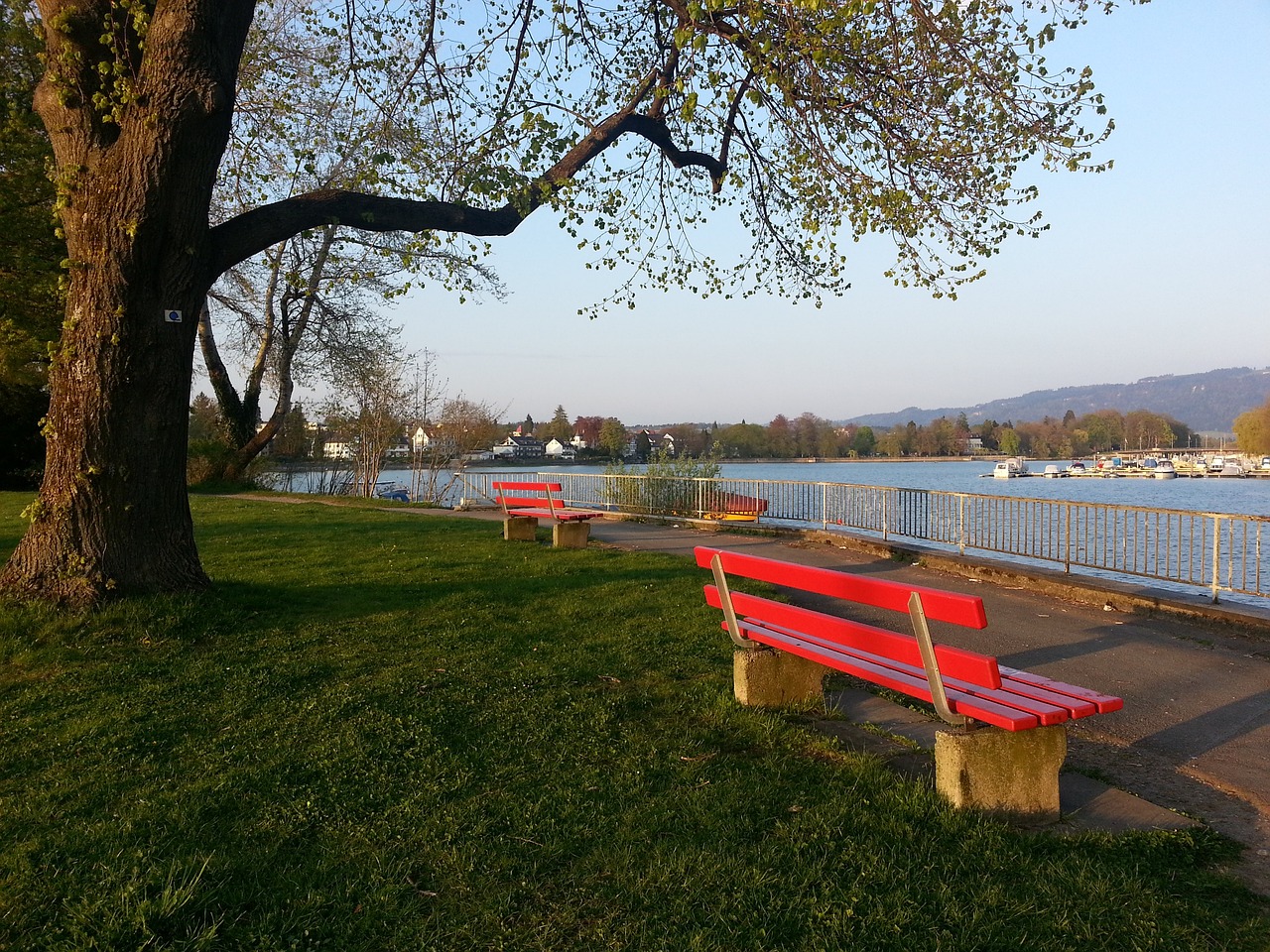 火箭的崛起 火箭的崛起