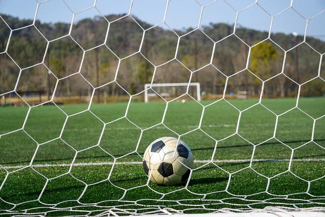 参考其他经 参考其他经